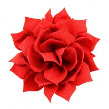 Haarbloemen