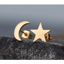AA 0042 - Oorellen -  Stainless Steel - Ster/Maan