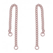 AA 0117 - Stainless steel Connector- Ketting voor de verbinding van oorstekers