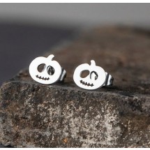 AB 0082 stainless steel earrings