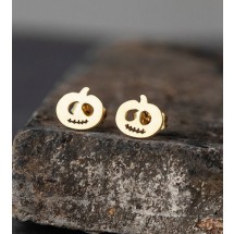 AB 0081 stainless steel earrings