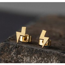 AB 0135 stainless steel earrings