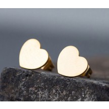 AA 0119 - Oorbellen - Stainless Steel - 1 cm - Hart