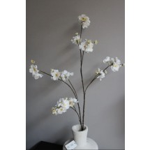 Bloesem Tak XL – Crème (115 cm)