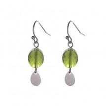 AE 0069 Gold plated earrings 3cm