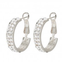 AD 0038 - Oorbellen - Silver Needle - Crystal - 2 cm
