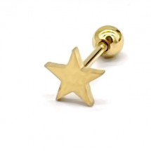 AF 0315 - Oorpiercing - Stainless Steel - 316L - Ster