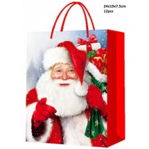 AK 0094 - Papieren Tasjes - Kerstman - 24x19x7.5cm - 12 stuks