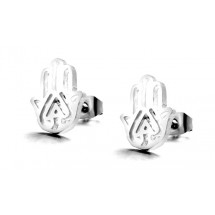 AA 0006 Stainless steel earrings