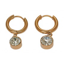AK 0420 - Stainless Steel - Earrings- Crystal