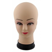 AK 0219 - Display Head - Head - 29cm