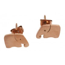 AB 0180 Stainless steel earrings 