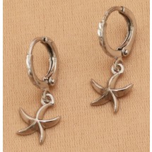 AA 0230 Stainless steel earrings/Starfish