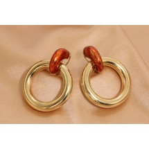 AK 0198 Stylish earrings