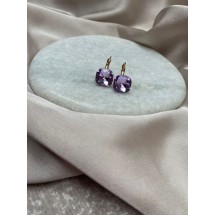AA 0044 - Oorbellen - Shiny - 2cm