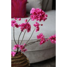 Bloesem - Roze - 85 cm