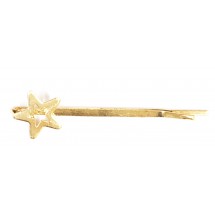AE 0065 Haarschuifje/Star