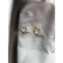 AC 0127 - Oorbellen - Love - Crystals 