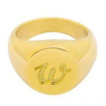 AKK 0069 - Stainless steel - Zegelring - MT 16 - W