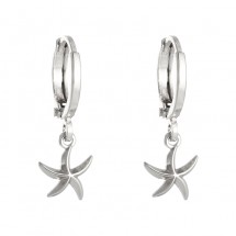 AA 0230 Stainless steel earrings/Starfish